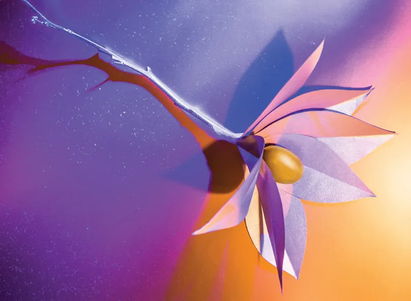 Лотос — забытьё и безмятежность