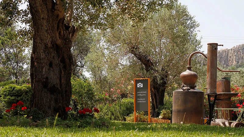 Процесс дистилляции узо