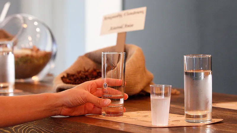 Органические травы для узо